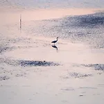 Gerekos Island * Kontokali