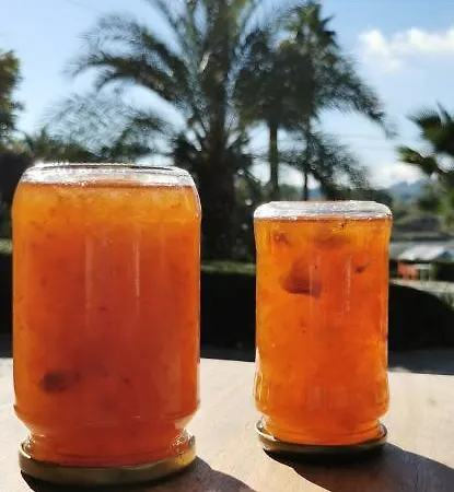 Gerekos Island * コントカリ