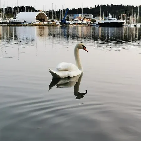 Gerekos Island アパート