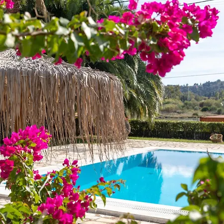 Gerekos Island コントカリ