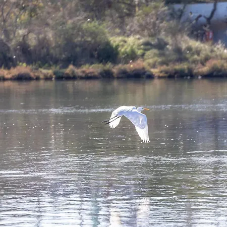 Gerekos Island アパート *