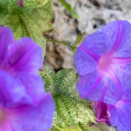 アパート Gerekos Island *