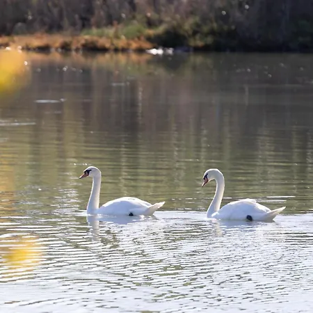 Gerekos Island コントカリ