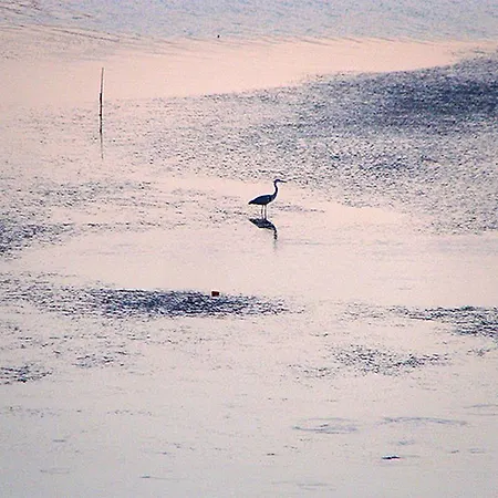 Gerekos Island * コントカリ