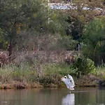Gerekos Island *